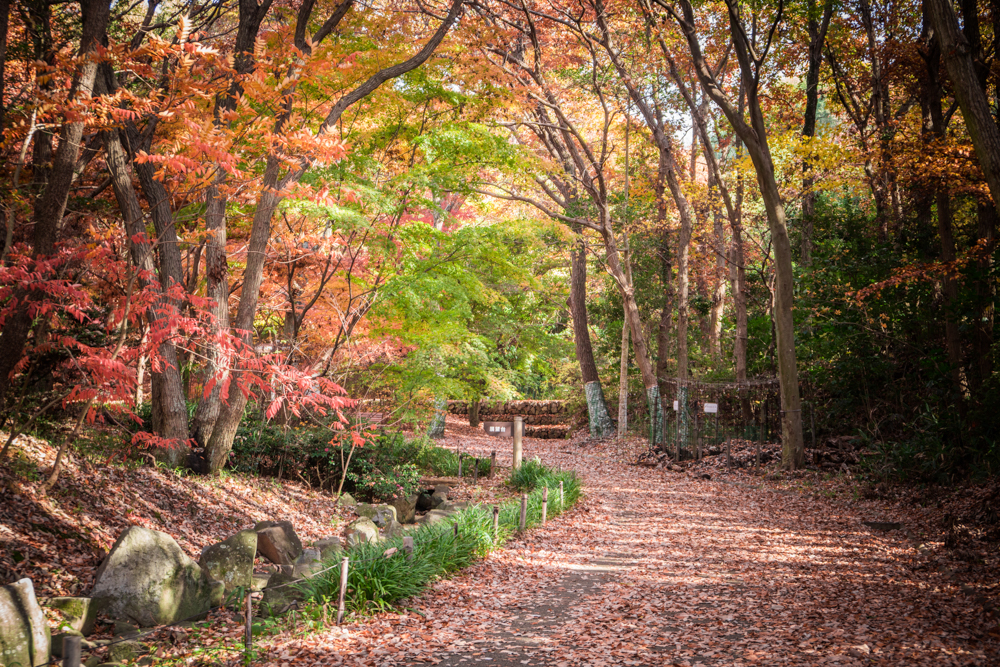 金ケ崎公園