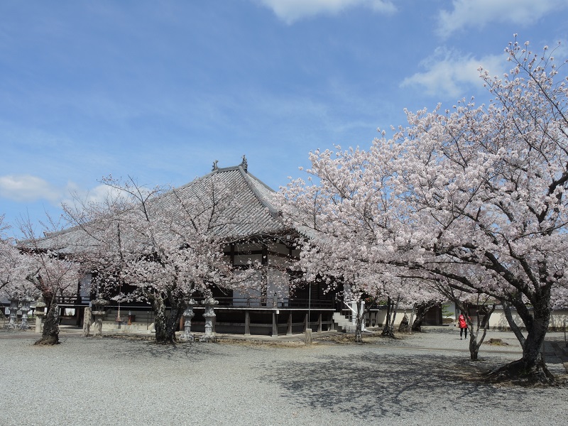 教信寺