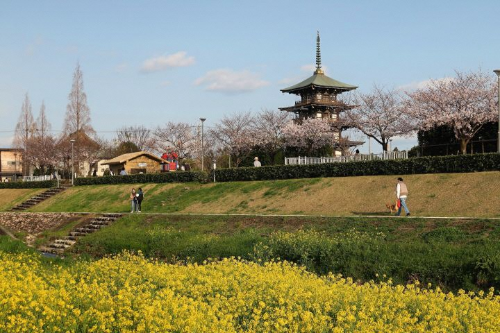 喜瀬川緑道（令和2年度「みんなで作ろう！東播磨フォトマップ」応募作品）