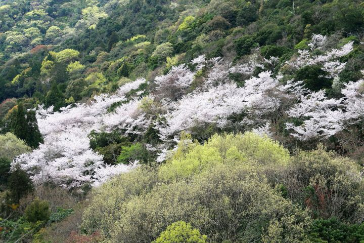 鹿島・扇平自然公園（令和２年度「みんなで作ろう！東播磨フォトマップ」応募作品）