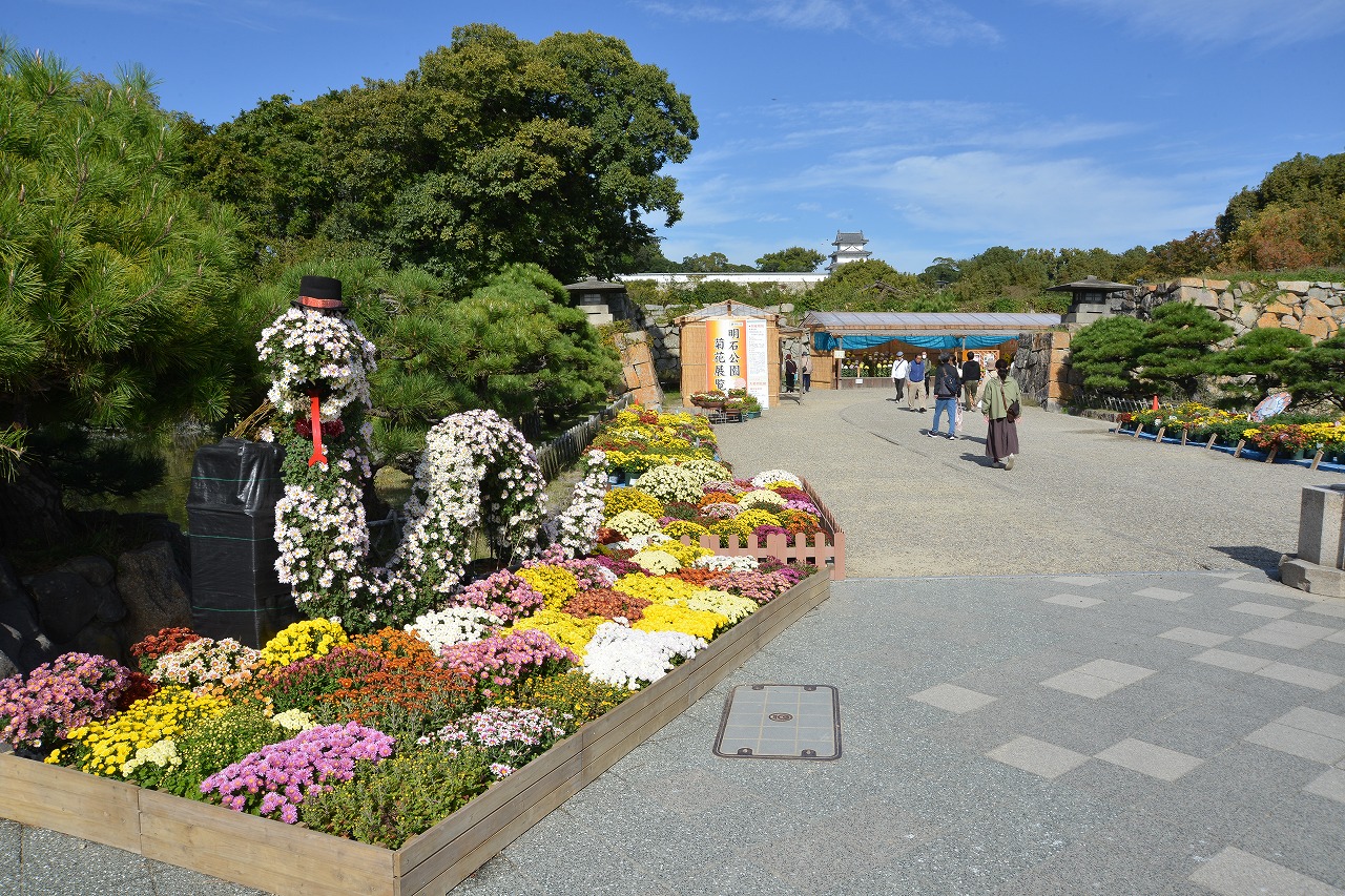 第97回明石公園菊花展覧会　　　