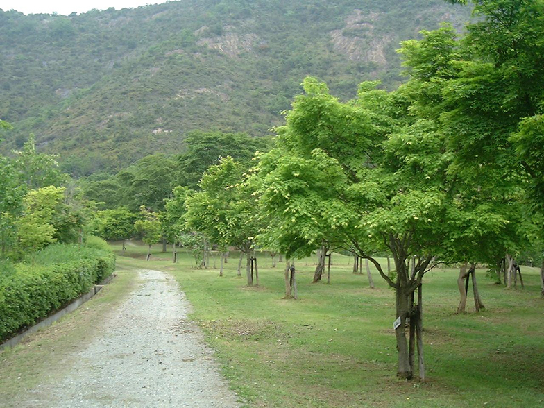 鹿島・扇平自然公園