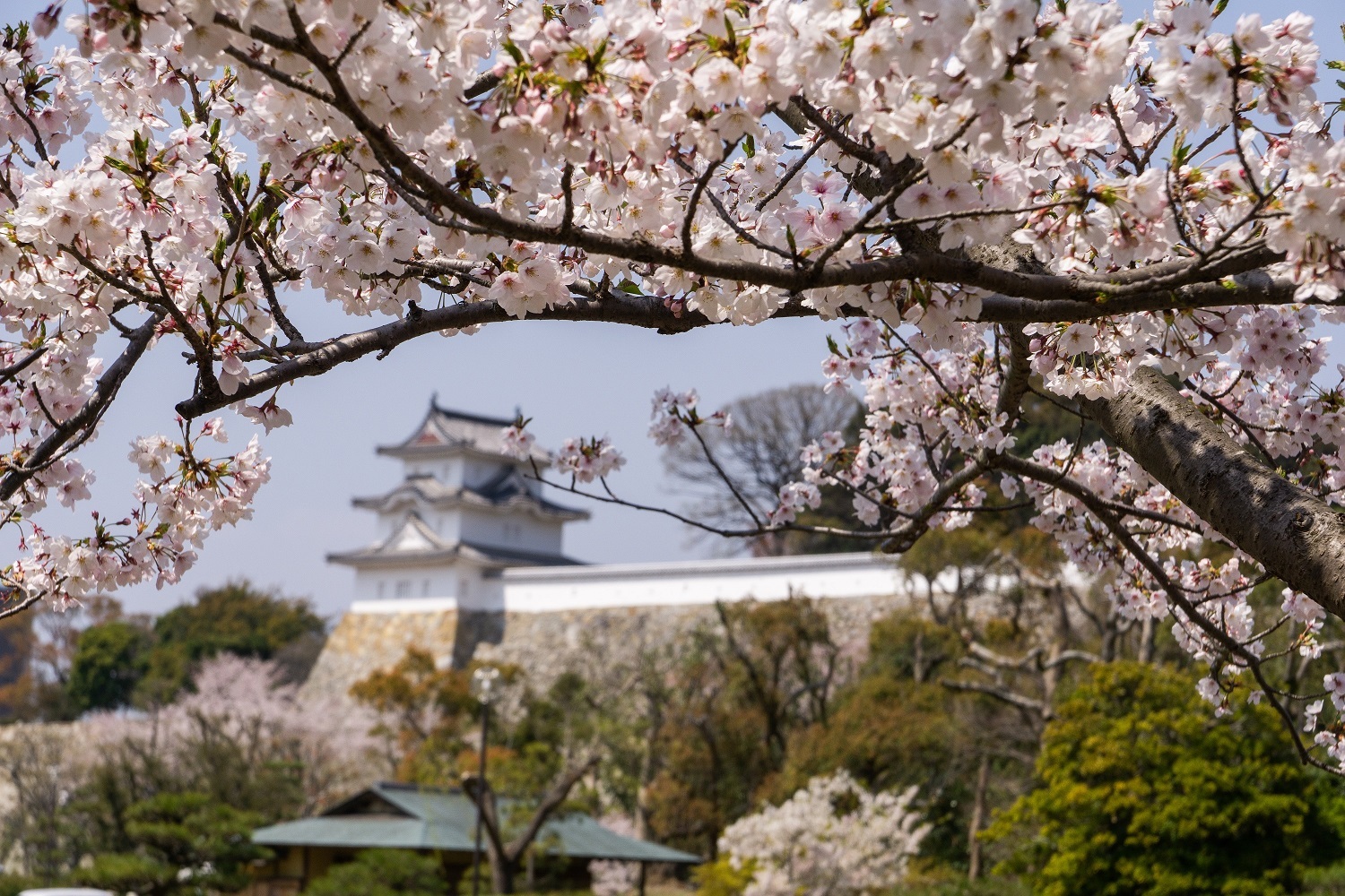 明石公園