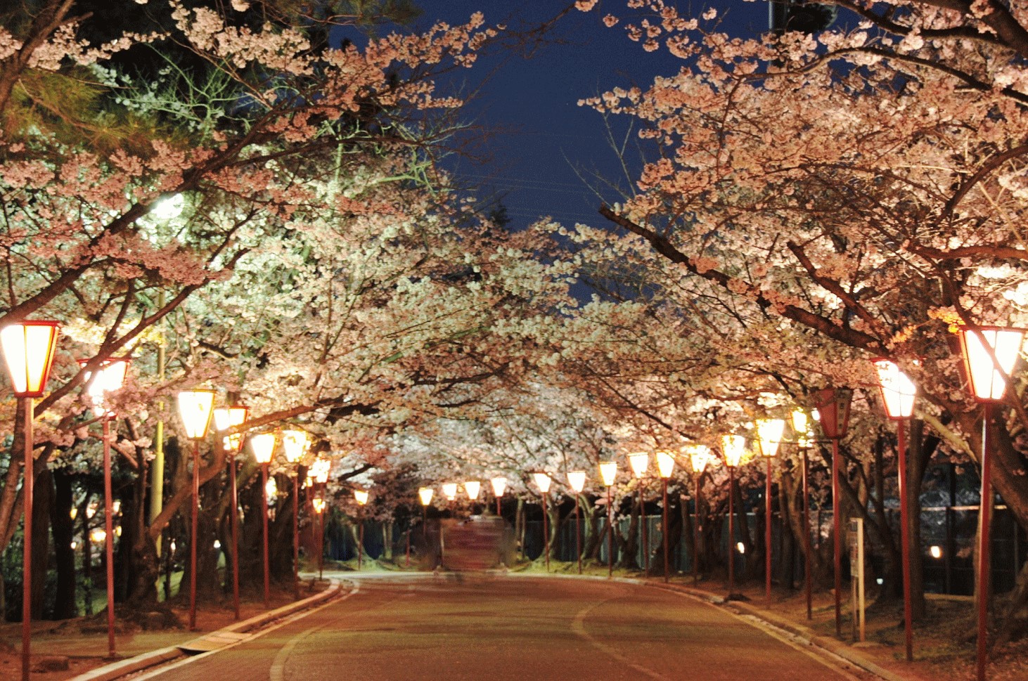 日岡山公園