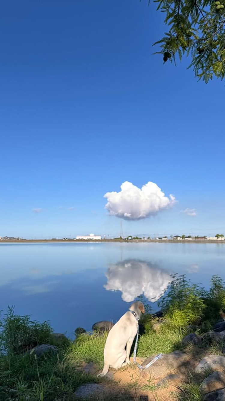 稲美町 天満大池
